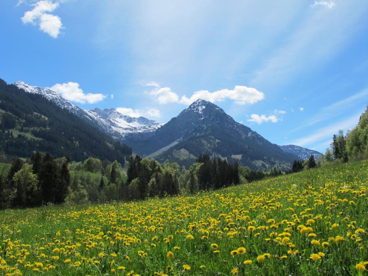 Hornblick Fewo- Ab Mai Freie Fahrt Mit Bergbahnen Oberstdorf Eksteriør bilde