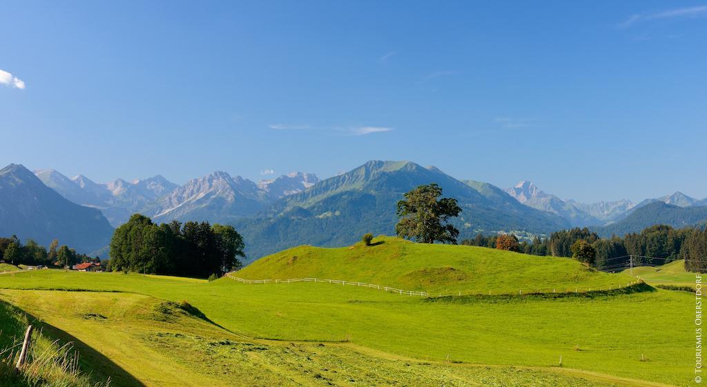 Hornblick Fewo- Ab Mai Freie Fahrt Mit Bergbahnen Oberstdorf Eksteriør bilde